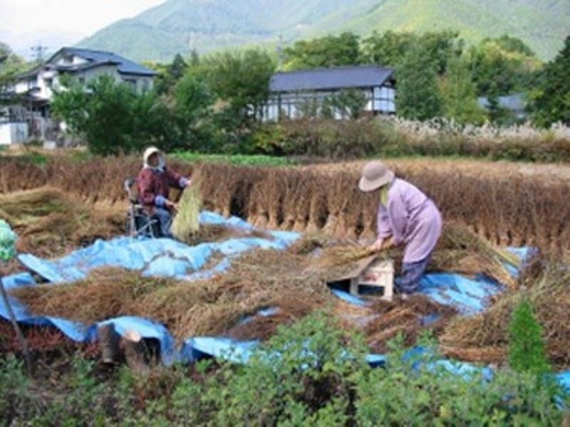 Village Inn Seizanso Matsumoto Buitenkant foto